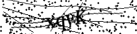 Please type the letters below