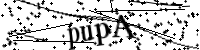 Please type the letters below