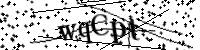 Please type the letters below