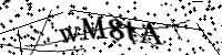 Please type the letters below