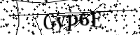 Please type the letters below