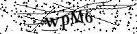 Please type the letters below