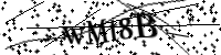 Please type the letters below