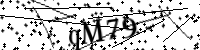 Please type the letters below